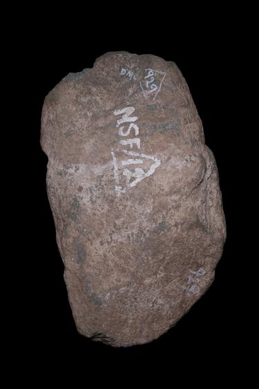 Image of Previous births: Dīpaṃkara legend