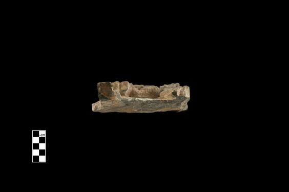 Image of Last Existence: The Gods entreat the Buddha to preach