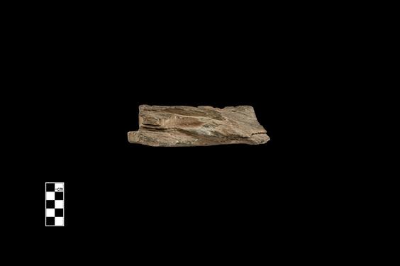 Image of Last Existence: The Gods entreat the Buddha to preach