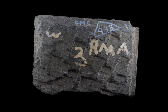 Image of Last Existence: Māyā's Dream