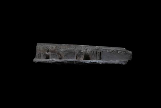 Image of Last Existence: Māyā's Dream