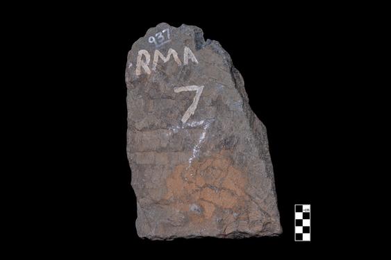 Image of Last Existence: Siddhārtha's horoscope or Interpretation of Māyā's dream