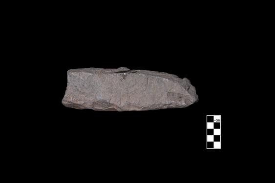 Image of Last Existence: Siddhārtha's horoscope or Interpretation of Māyā's dream