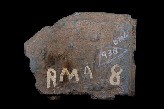 Image of Last Existence: Story of the White Elephant