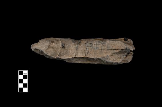 Image of Bodhisattva