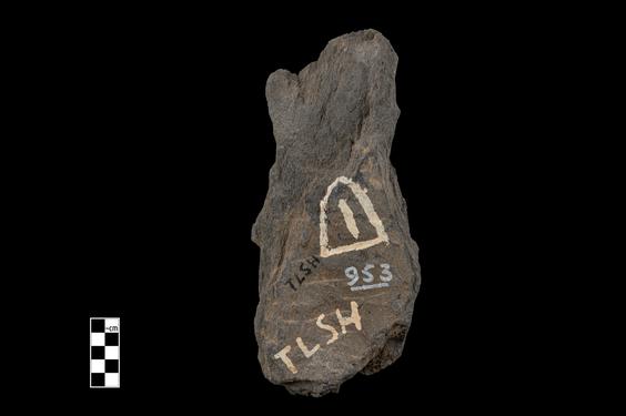 Image of Bodhisattva