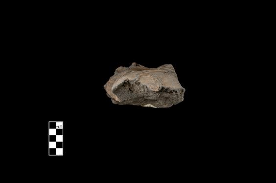 Image of Bodhisattva