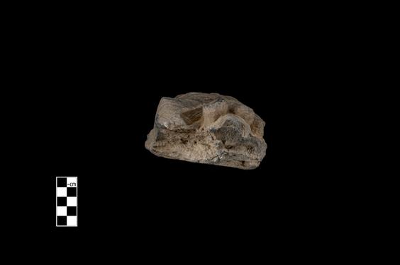 Image of Bodhisattva