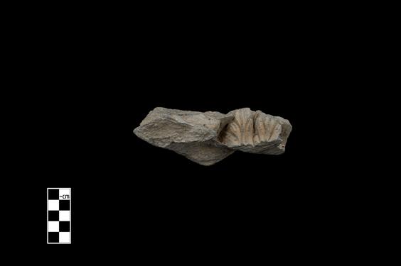 Image of Last Existence: First Sermon