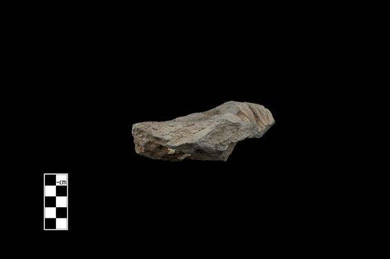 Image of Last Existence: First Sermon