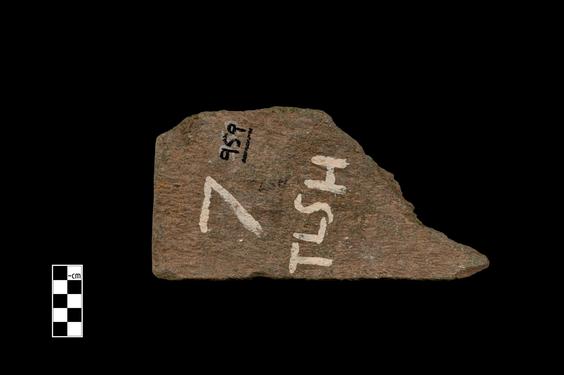 Image of Winged lion (?)