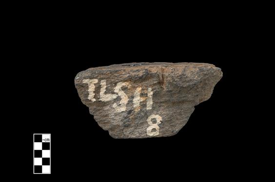 Image of Acanthus leaves