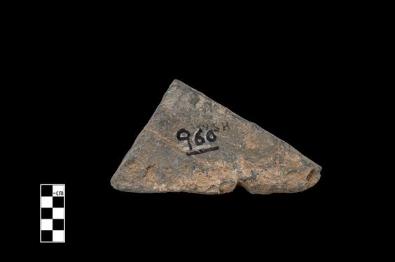 Image of Acanthus leaves