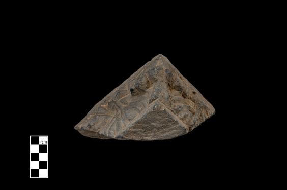 Image of Acanthus leaves