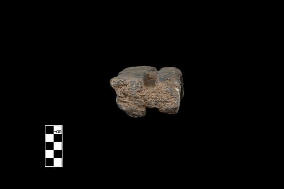 Image of Acanthus leaves