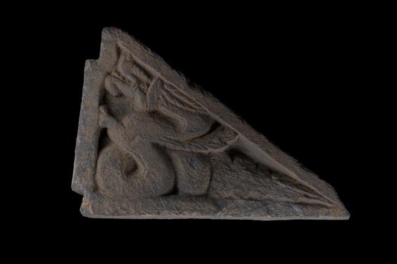 Image of Fantastic animal