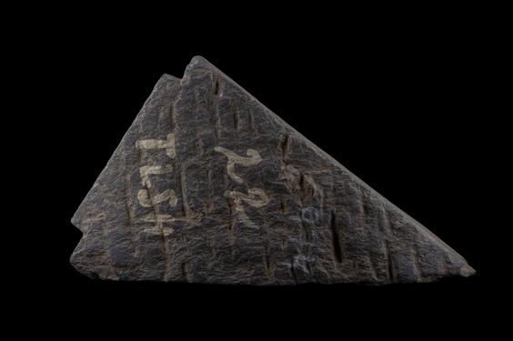 Image of Fantastic animal