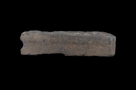 Image of Fantastic animal