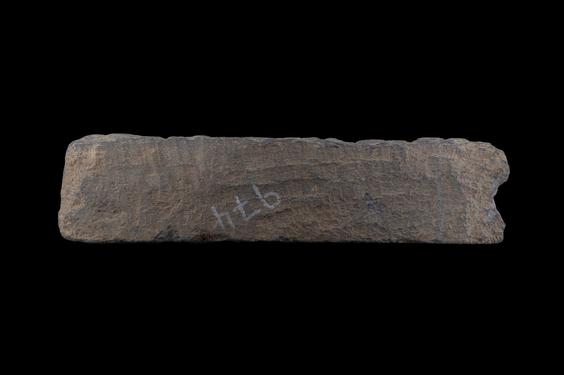 Image of Fantastic animal