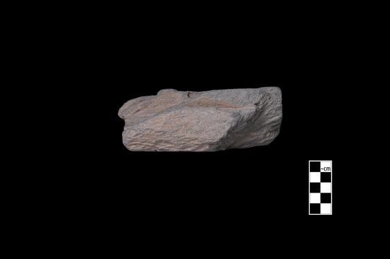 Image of Buddha and devotees