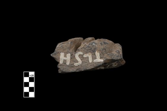 Image of Male figure