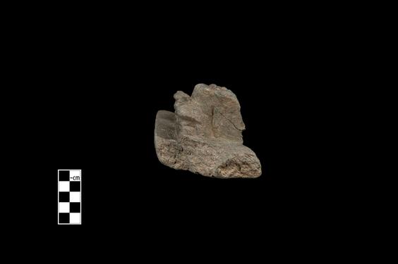 Image of Semi-columns of the Gandharan-Corinthian type