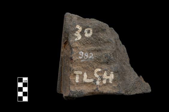 Image of Last existence: Bodhisattva in Tuṣīta Heaven