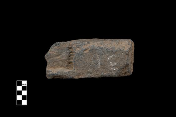 Image of Vine scroll