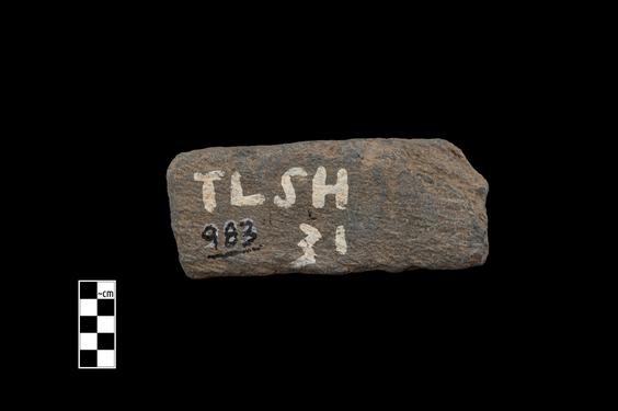 Image of Vine scroll