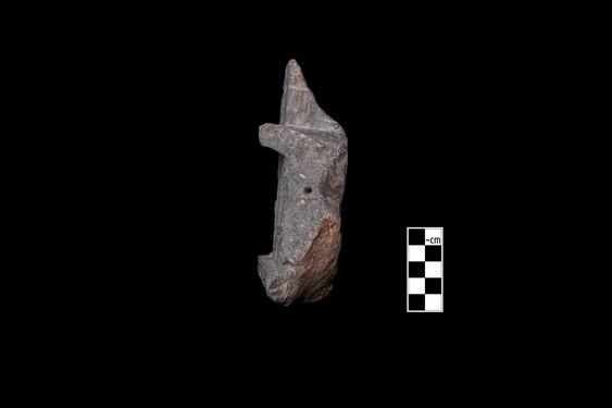 Image of Last Existence: Visit of Indra