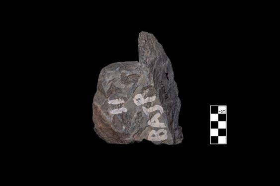 Image of Last Existence: Visit of Indra