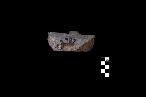 Image of Last Existence: Visit of Indra