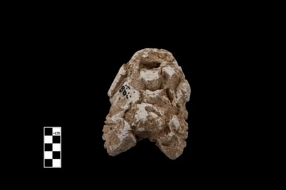 Image of Male figure