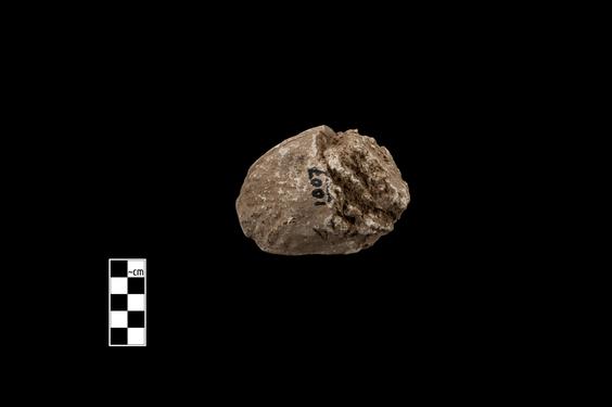 Image of Male figure