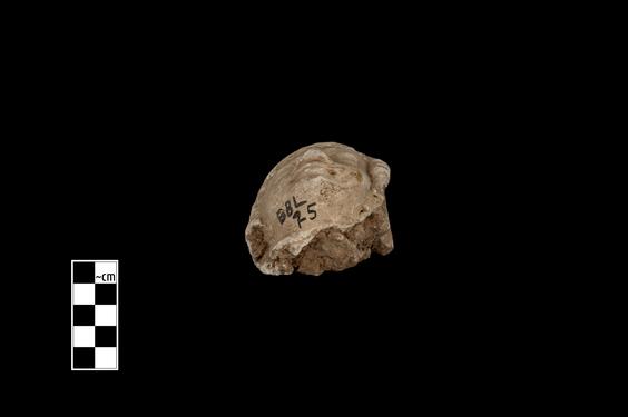 Image of Male figure