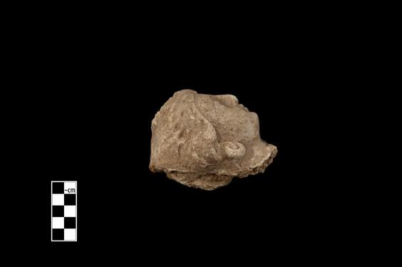 Image of Male figure