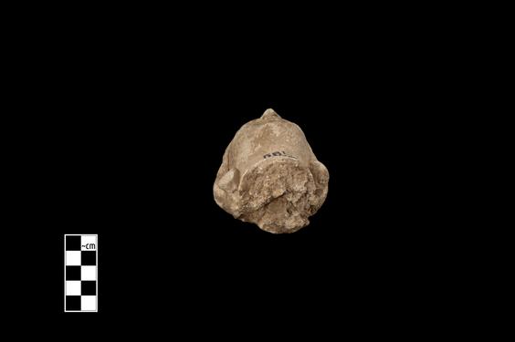 Image of Male figure