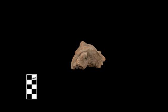 Image of Male figure