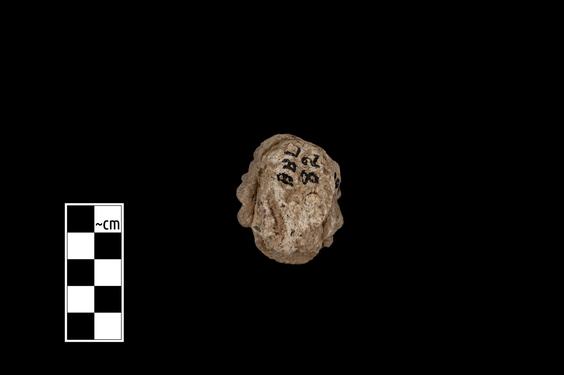 Image of Male figure