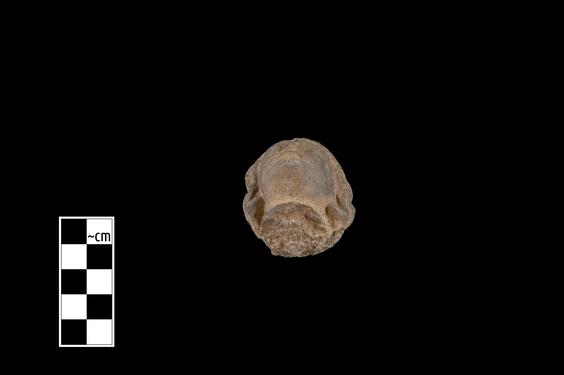 Image of Male figure