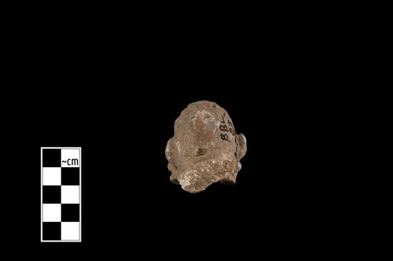 Image of Bodhisattva (?)