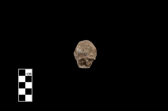 Image of Male figure