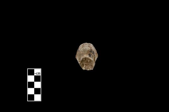 Image of Male figure