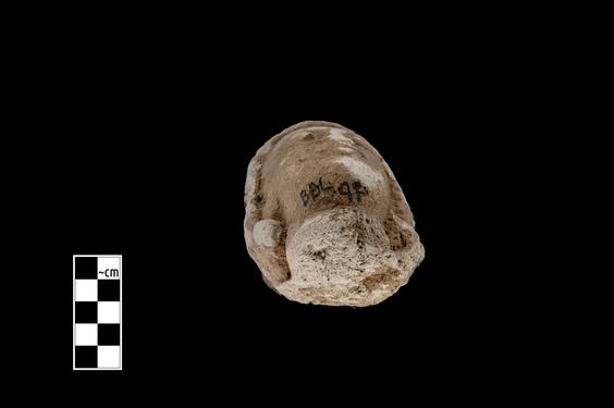 Image of Male figure