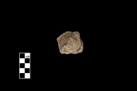 Image of Male figure