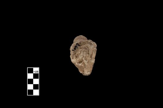 Image of Male figure