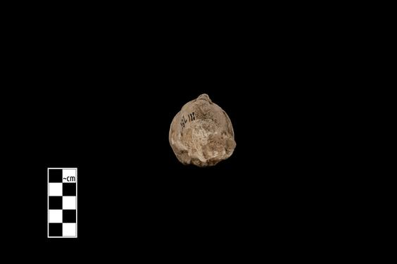 Image of Male figure