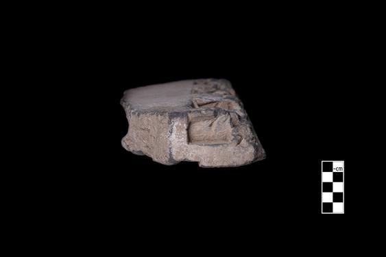 Image of Birds and winged lion