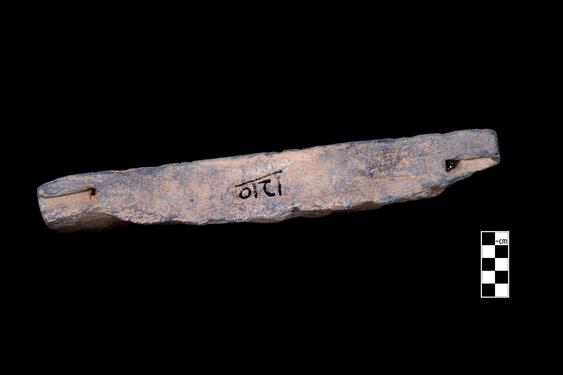 Image of Bodhisattva and donors, Unidentified scene