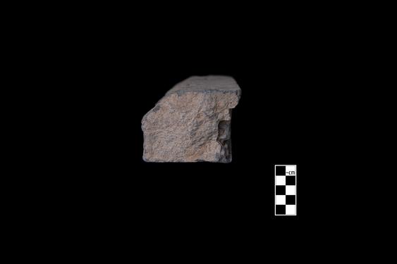 Image of Male devotees and donors